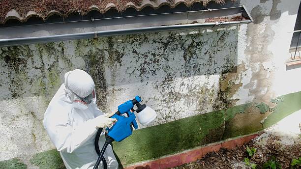 Trusted Bathroom Mold Removal service in Lykens, PA - Cheap Mold Removal